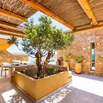 Villa Vala Luxury B Afiartis