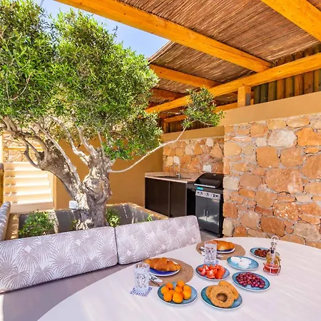 Villa Vala Luxury B Afiartis